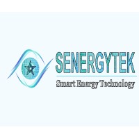 SENERGYTEK Officiel logo - Similar company to Synertek