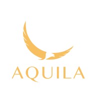 AQUILA CONSEIL FORMATION logo - Similar company to Value Consulting Group