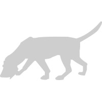 ASEI Engineering, Inc. logo - Similar company to Phoenix Eagles