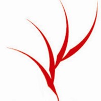 Sustainable Pty Ltd. logo - Similar company to Sunstainable Pty Ltd