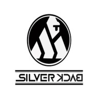 Silverback Apparels PVT LTD logo - Similar company to Premier Agencies
