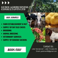 Gudoi Agribusiness Consultants LTD logo - Similar company to Uniformed Firefighters Association, Local 94, I.A.F.F. (Fdny)