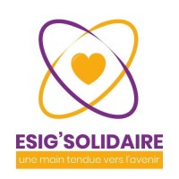 ESIG SOLIDAIRE logo - Similar company to Sure Data Consulting (Sdc)