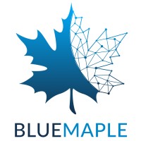 BlueMaple logo - Similar company to Bluemapleit