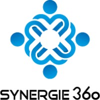 Synergie 360 logo - Similar company to Inlive With