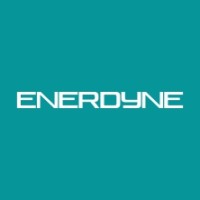 Enerdyne Devices Pvt. Ltd. logo - Similar company to Emerdyn