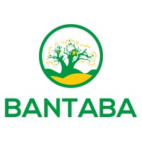 Bantaba logo - Similar company to Dimel Tech