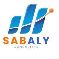 SABALY CONSULTING logo - Similar company to Backup Audit