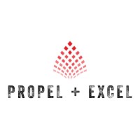 Propel + Excel, LLC logo - Similar company to Reunion Technologies