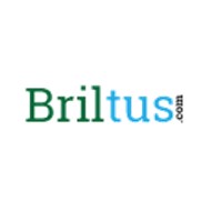 Briltus Services logo - Similar company to Blumefox Technologies