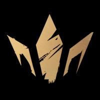 MetaKing Studios logo - Similar company to Hytopia