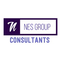NES GROUP CONSULTANTS logo - Similar company to Countree Turkey