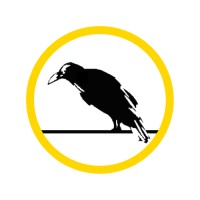 Noir Aviation Türkiye logo - Similar company to Desa Representation&Consultancy&Engineering Co.