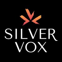 SilverVox logo - Similar company to Spearpoint Engineering, Inc.