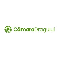 Cămara Dragului logo - Similar company to Vlavi Cons