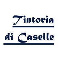 Tintoria di Caselle S.r.l logo - Similar company to Nta Ts Technical Solutions