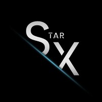 Star X Technology Solutions Pty Ltd logo - Similar company to Datel Protex