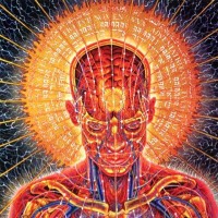 Expherience logo - Similar company to Items Platform