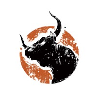 IRONBULL logo - Similar company to Anhui Technology