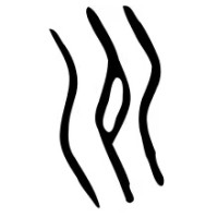 Xiamen Triver Co., Ltd. logo - Similar company to 漳州蒙发利实业有限公司