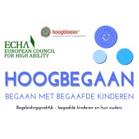 Hoogbegaan logo - Similar company to Bureau Lwpc