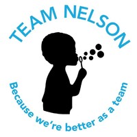 Team Nelson logo - Similar company to Digiview 360 Llc