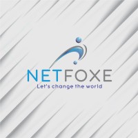 NETFOXE logo - Similar company to Netfox