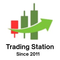 Tradingstation.in logo - Similar company to Vicchu Creations