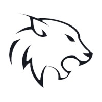 WildLynx Capital logo - Similar company to Flowpayment
