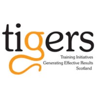 TIGERS Construction Academy logo - Similar company to Tigger & Bec