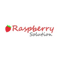 RaspberrySolutions logo - Similar company to Raspberry Solutions Ltd