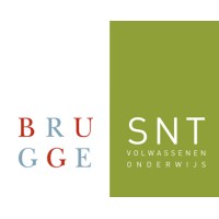 SNT logo - Similar company to Nimba