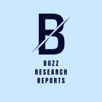 Buzz Research Reports logo - Similar company to Fzo
