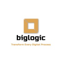 Biglogic Software Development & Management Consultancy