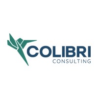 Colibri Consulting BV logo - Similar company to Kode