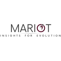 Mariot logo - Similar company to Sol Bat