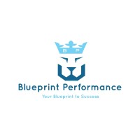 Blueprint Performance