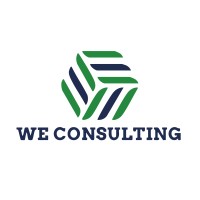 We Consulting Companies logo - Similar company to Omesa S.A.C.