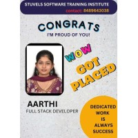 Stuvels Software Solutions logo - Similar company to Kgxperience