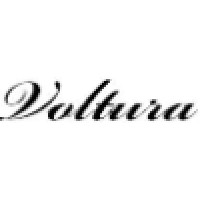 Voltura logo - Similar company to Voltura Labs