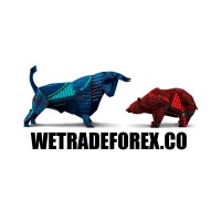 wetradeforex.co logo - Similar company to Finpal.Pro
