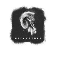 Bellwether Pictures logo - Similar company to Equity And General