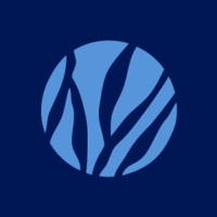 Río Azul logo - Similar company to Project Canopy