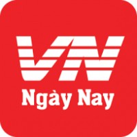 Công Ty Tnhh Công Nghệ Mạng Thông Tin Việt Nam