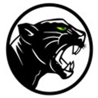 Panthera Group logo - Similar company to Level Up Holding Co., Ltd