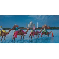 DHAROHAR INDIA TOURS logo - Similar company to Amvienz Homes