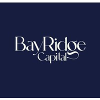 Bay Ridge Capital logo - Similar company to Blue Rock Capital