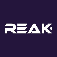 REAK INFOTECH LLP logo - Similar company to Star Reify Tech Solutions