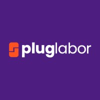 Pluglabor