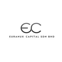Euranux Capital logo - Similar company to Xsama Consulting Co